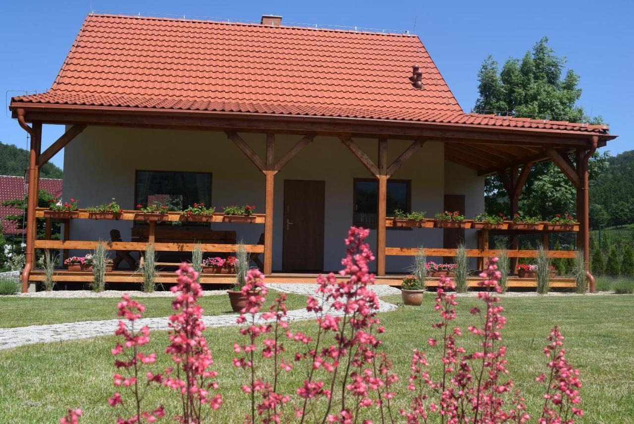 Domek Chmielnik Villa Pieszyce Dış mekan fotoğraf